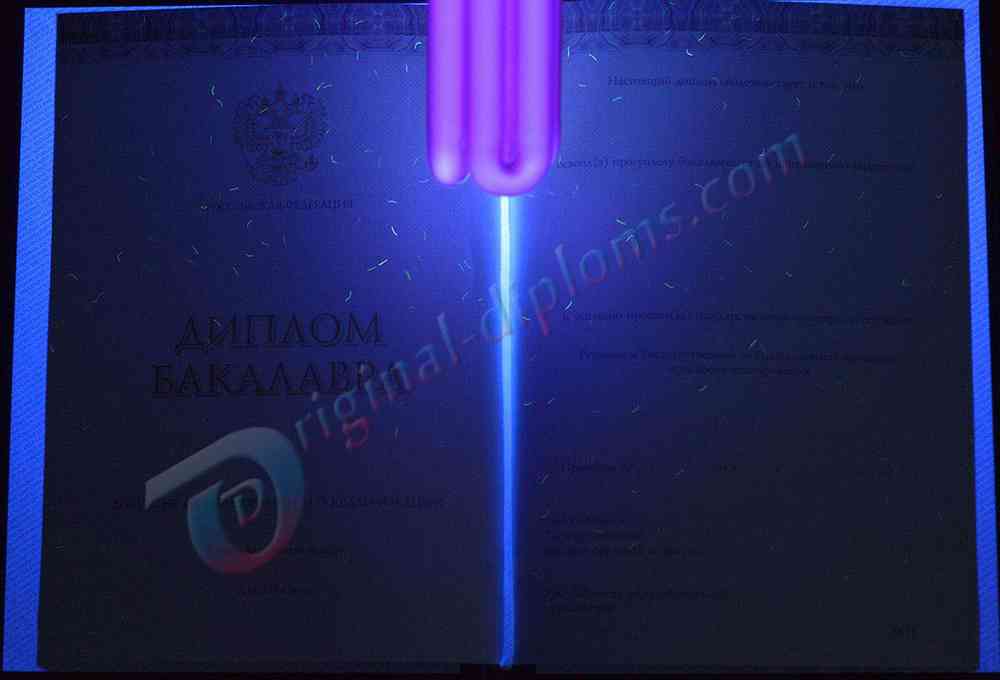 Диплом бакалавра 2014-2027